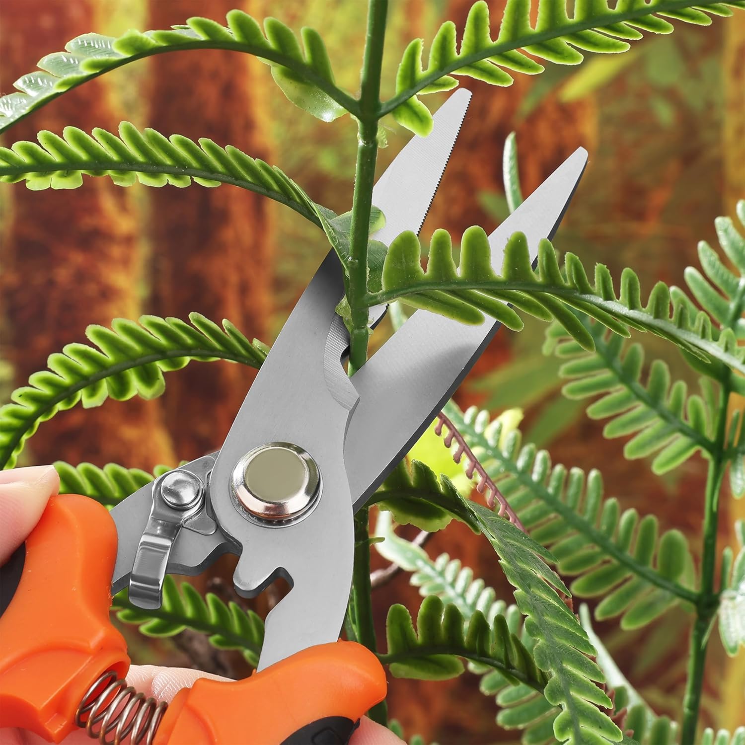 Profesjonalny zestaw nożyczek do przycinania